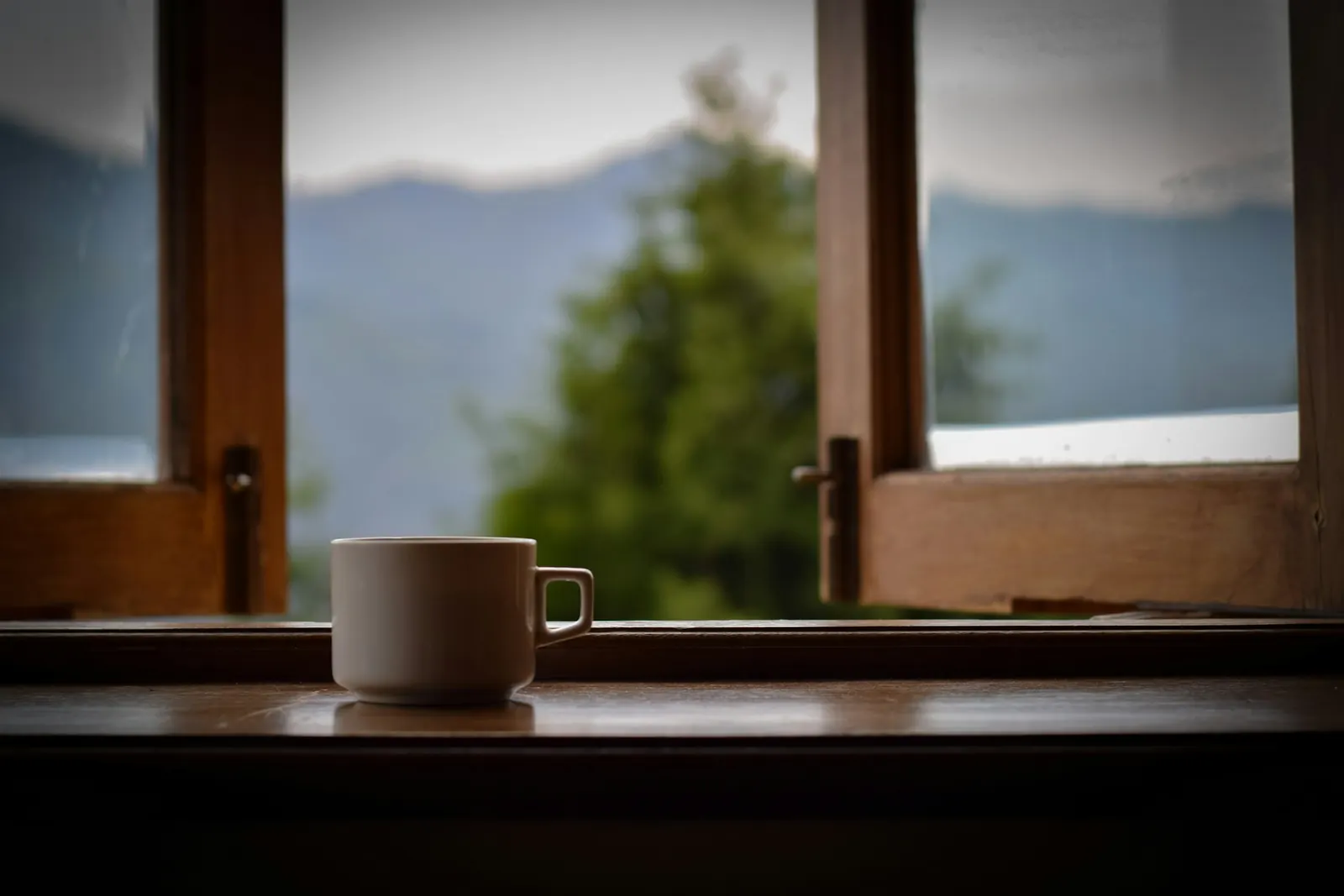 Caneca no parapeito de uma janela aberta, com árvores e montanhas suaves ao fundo num dia nublado.